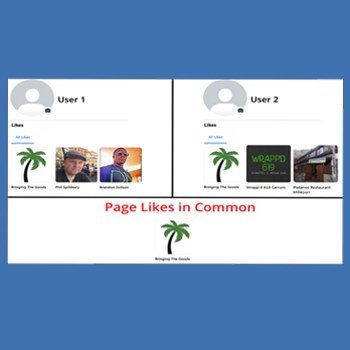Facebook Common Page Likes Checker